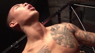 Stud gets to fuck a MILF with long blonde hair in doggy - porn video